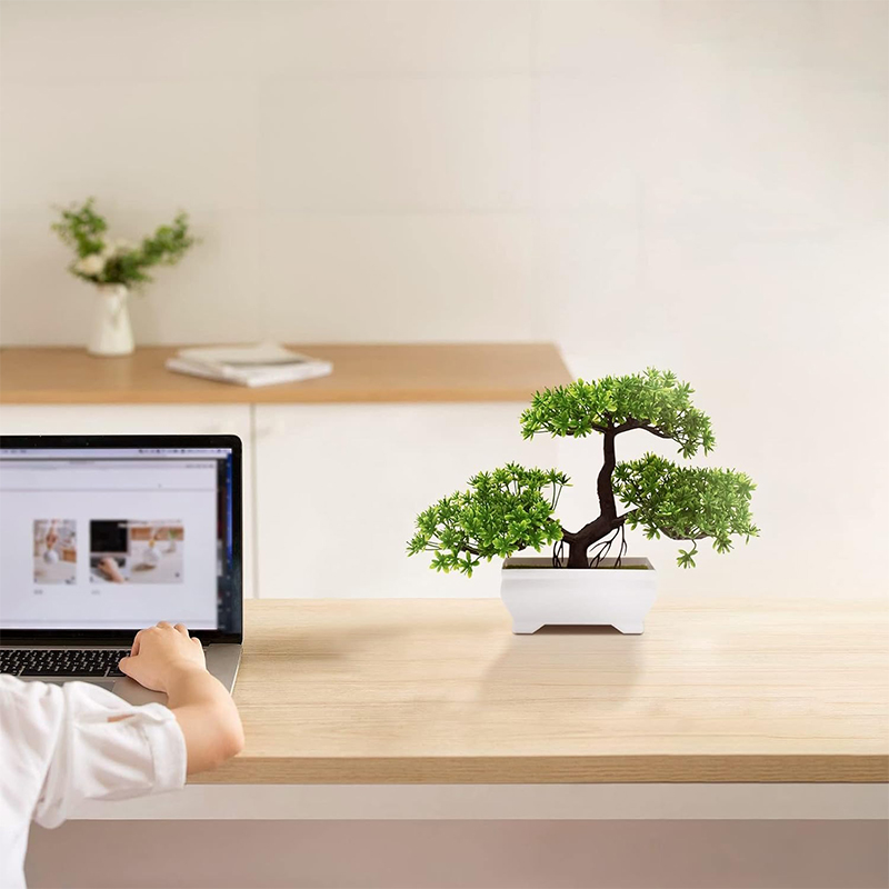 نبات صناعي بيونيك من البلاستيك - مراجعة Home Office Layout وسعره