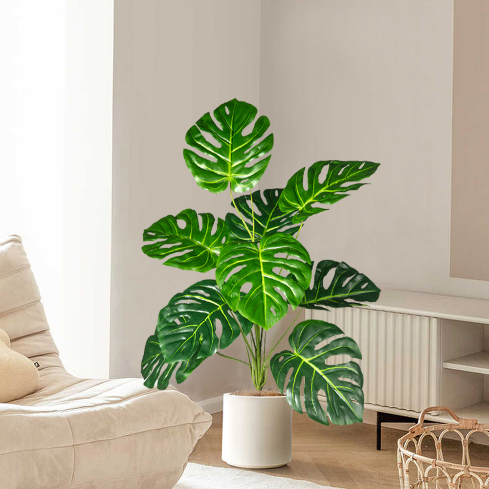 70-100 سنتيمتر شجرة Monstera ا - مراجعة Home Office Layout وسعره